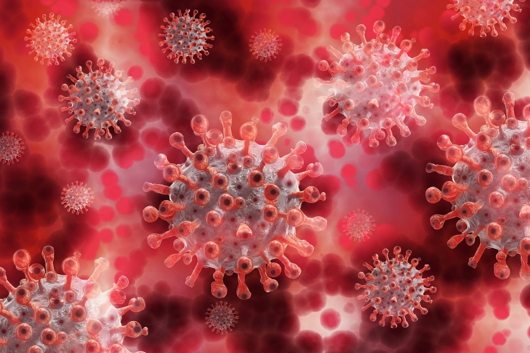 Corona-Virus von Gerald Altmann