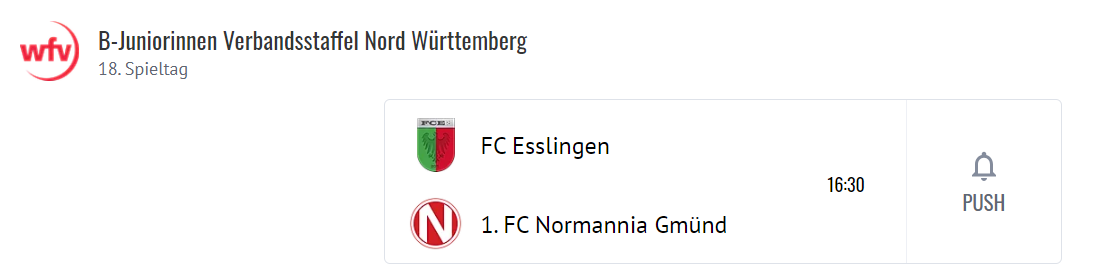 FCE_B-Juniorinnen130424.png