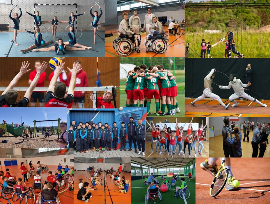 Darstellung der verschiedenen Sportarten, die im Sportpark Weil trainiert werden